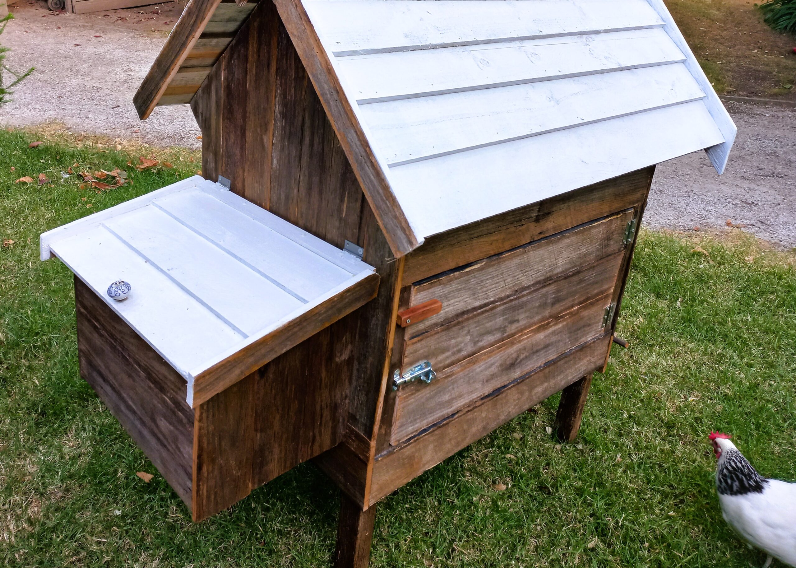 Chicken Coops Australia