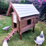 Chicken Coops Australia
