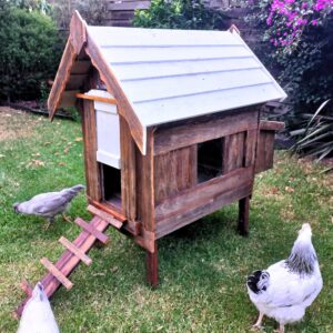 Chicken Coops Australia