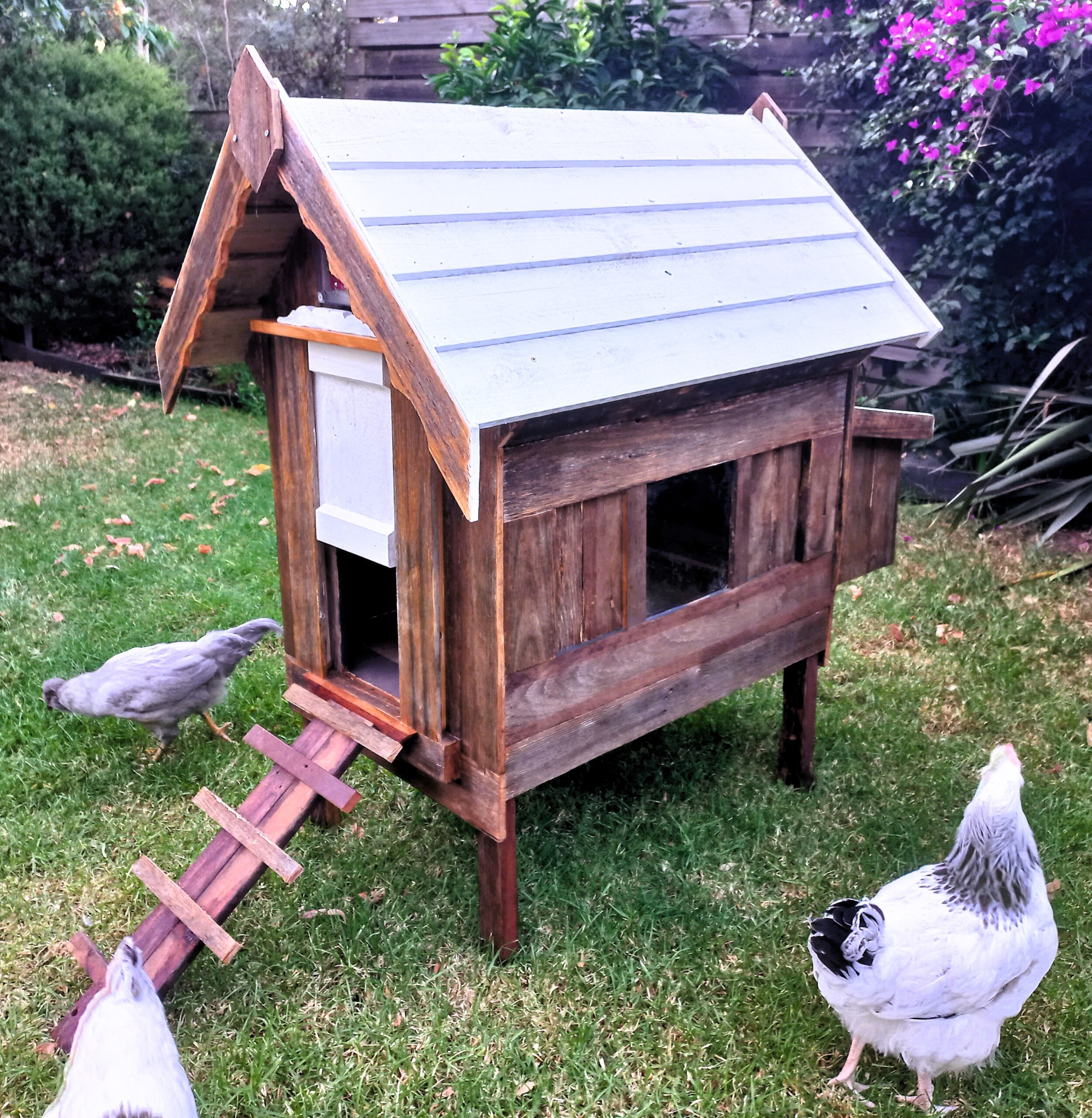 Chicken Coops Australia