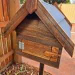 timber letterbox door