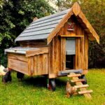 chicken tractor