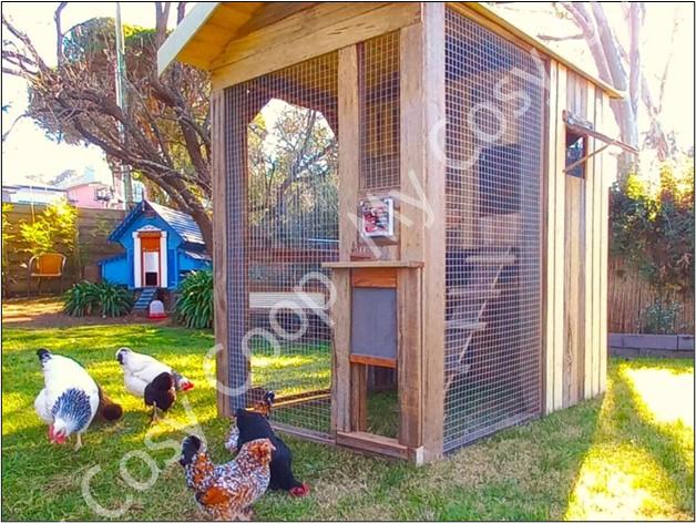 Choosing a Chicken Coop in Melbourne: Key Factors to Consider