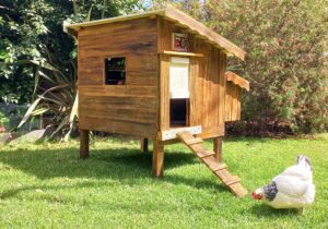 Chicken Coops Australia