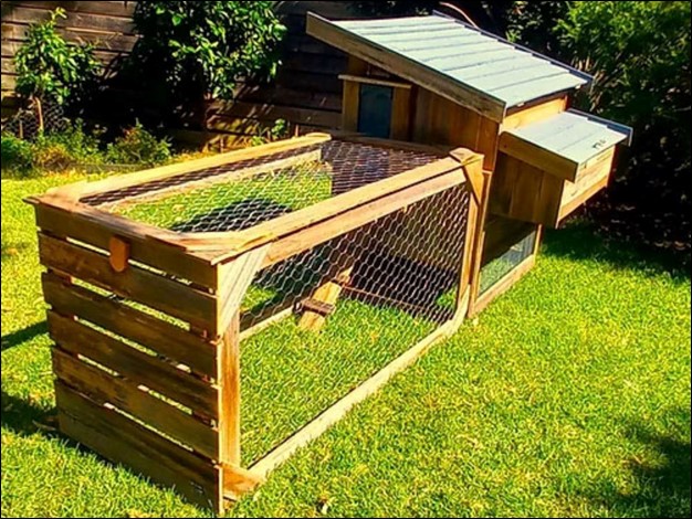 Exploring Chicken Runs in Sydney: A MyCosyCoop Overview