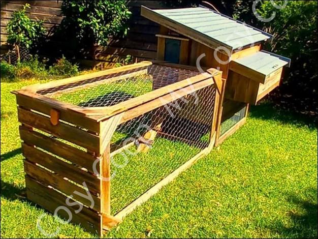 Exploring Chicken Runs in Sydney: A MyCosyCoop Overview