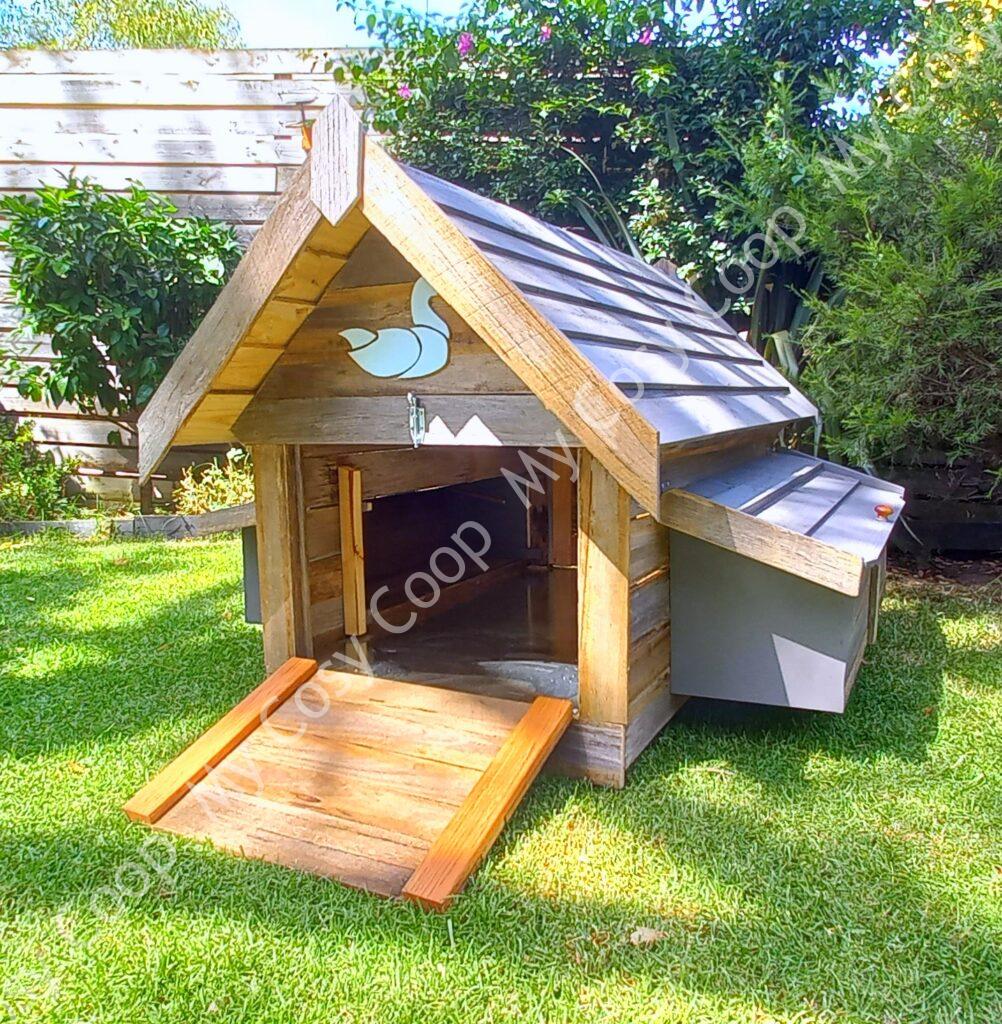 Duck Coops