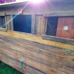 Chicken Coop and Run
