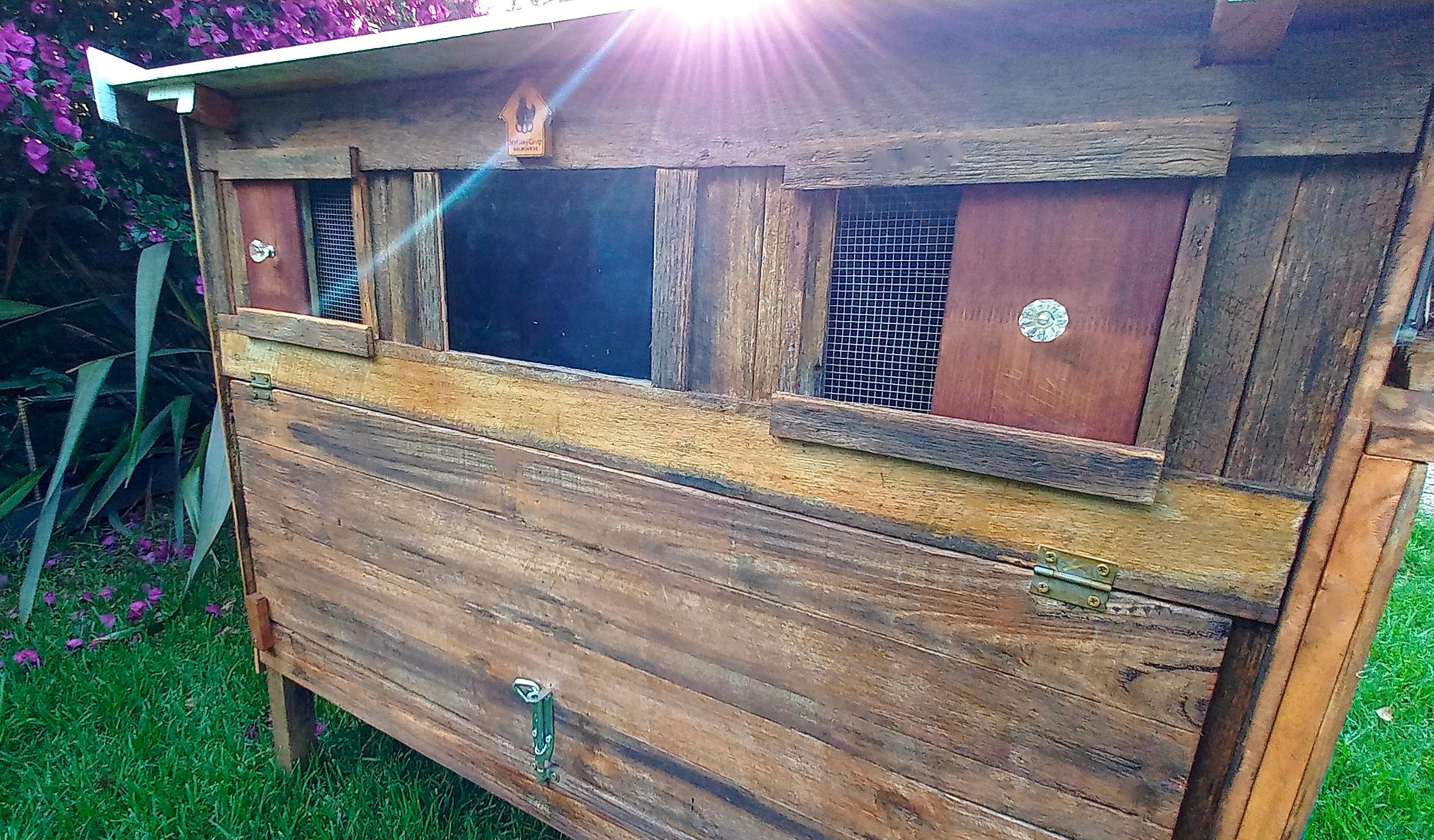 Chicken Coop and Run