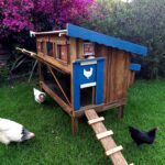 Chicken Coop and Run