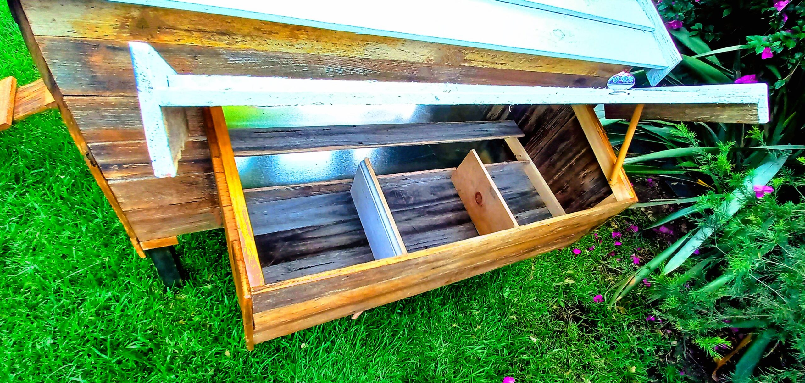 Chicken Coop and Run