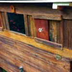 Chicken Coop and Run