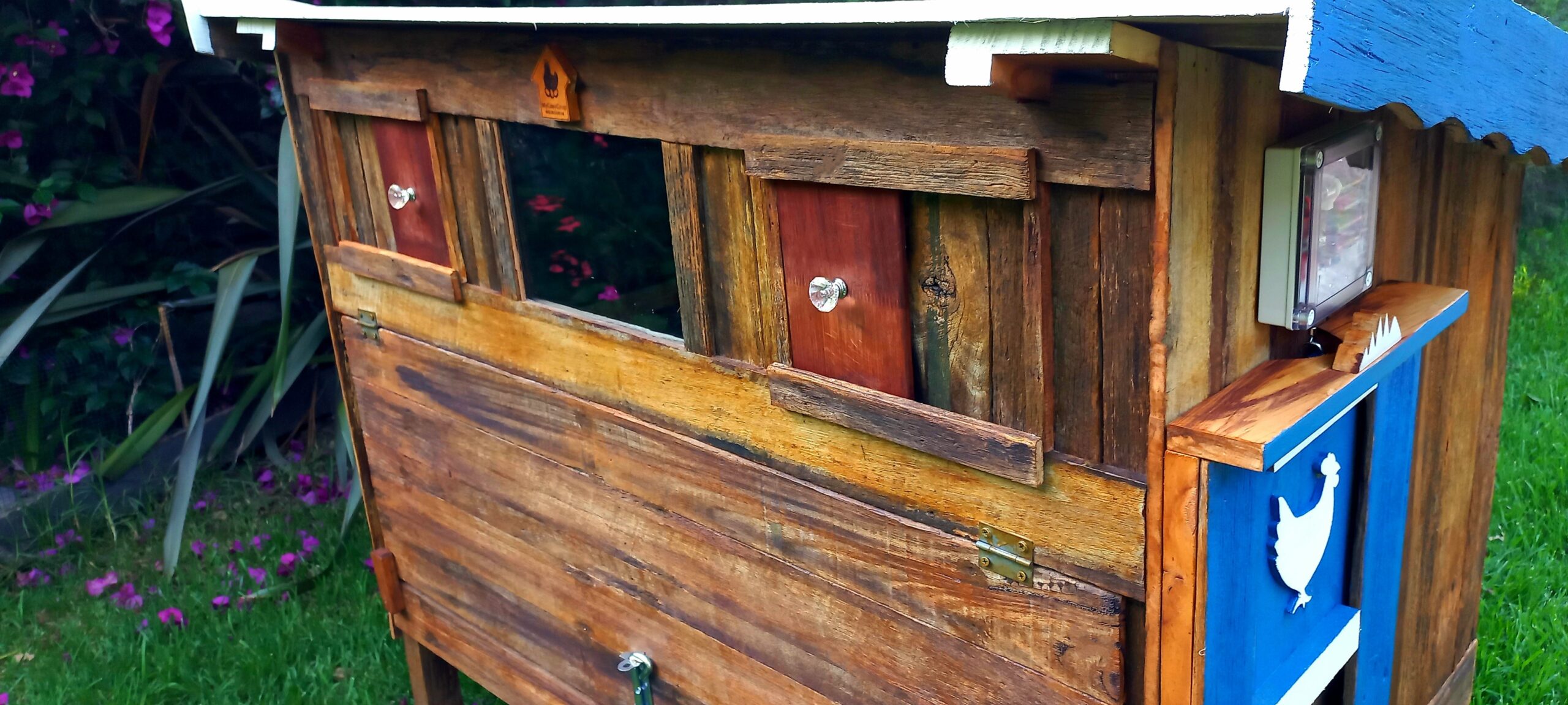 Chicken Coop and Run