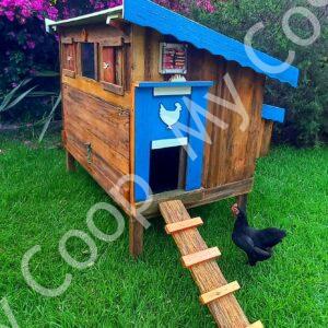 Chicken Coop and Run