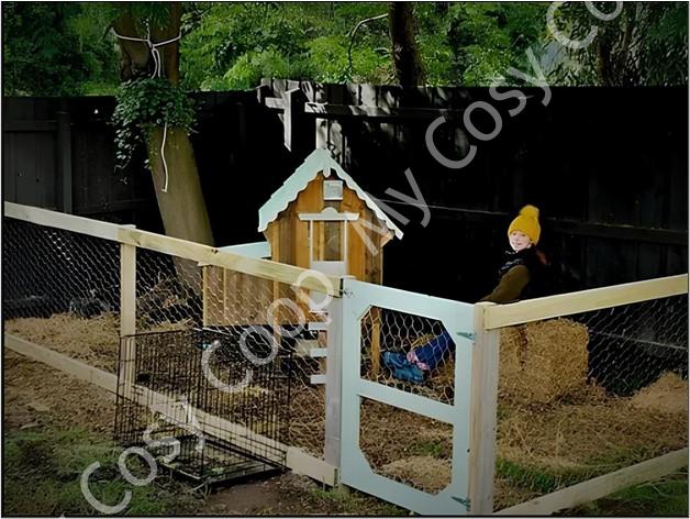 The Charm of Canberra: Chicken Coop Fences for Your Feathered Friends