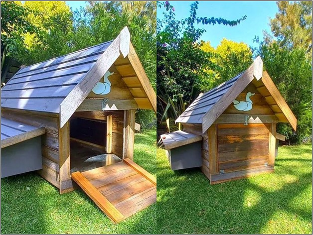 Selecting the Ideal Duck House


