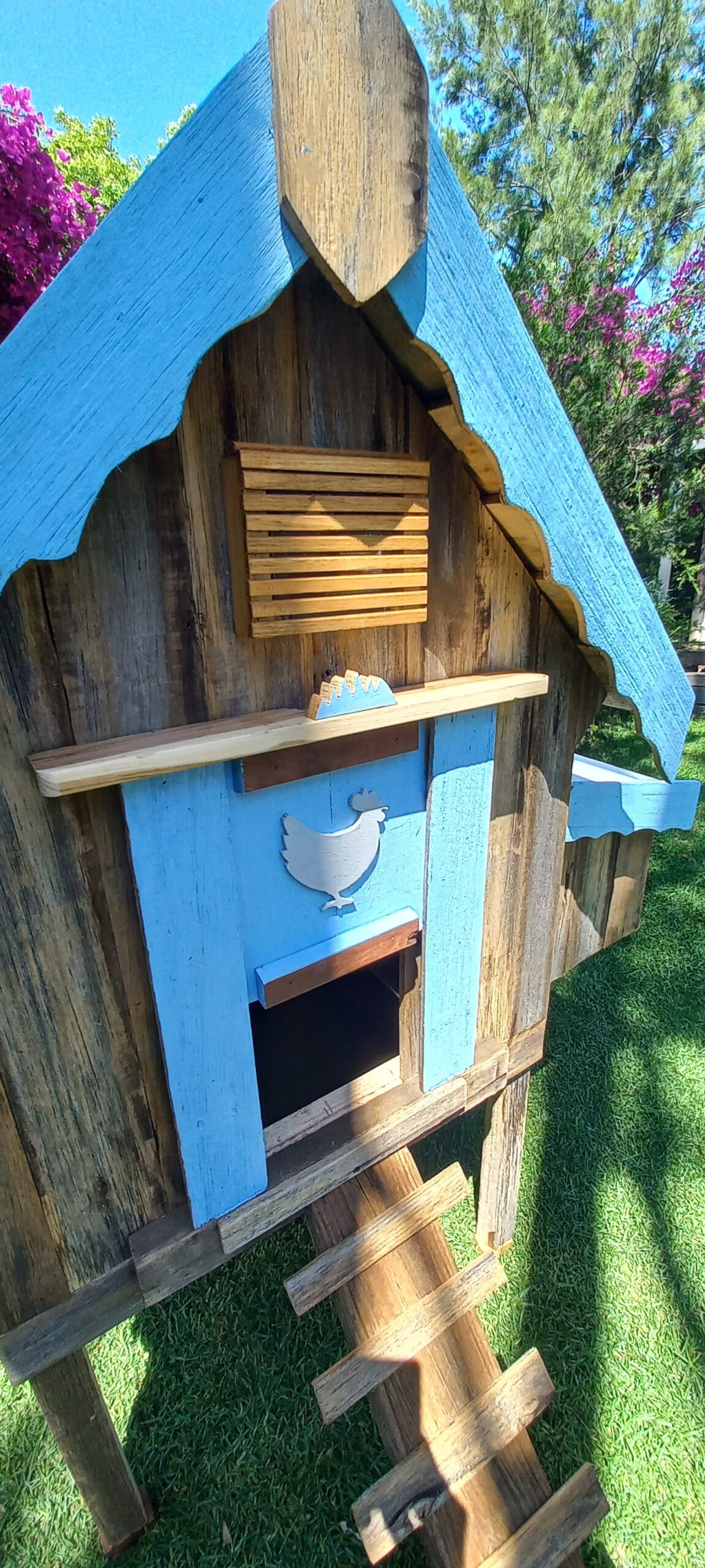 Chicken Coops Australia