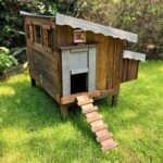 Chicken Coops Australia