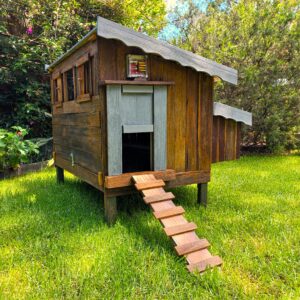 Australian Timber chicken coop