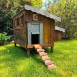 Australian Timber chicken coop
