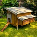 Chicken Coops Australia
