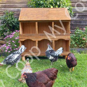 Coop Home