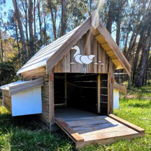 duck house door ramp