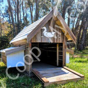 duck house door ramp