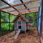 walk-in fox proof chicken run with roof