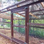 fox-proof chicken run