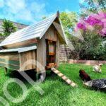 XL Roller Coop "Petra"